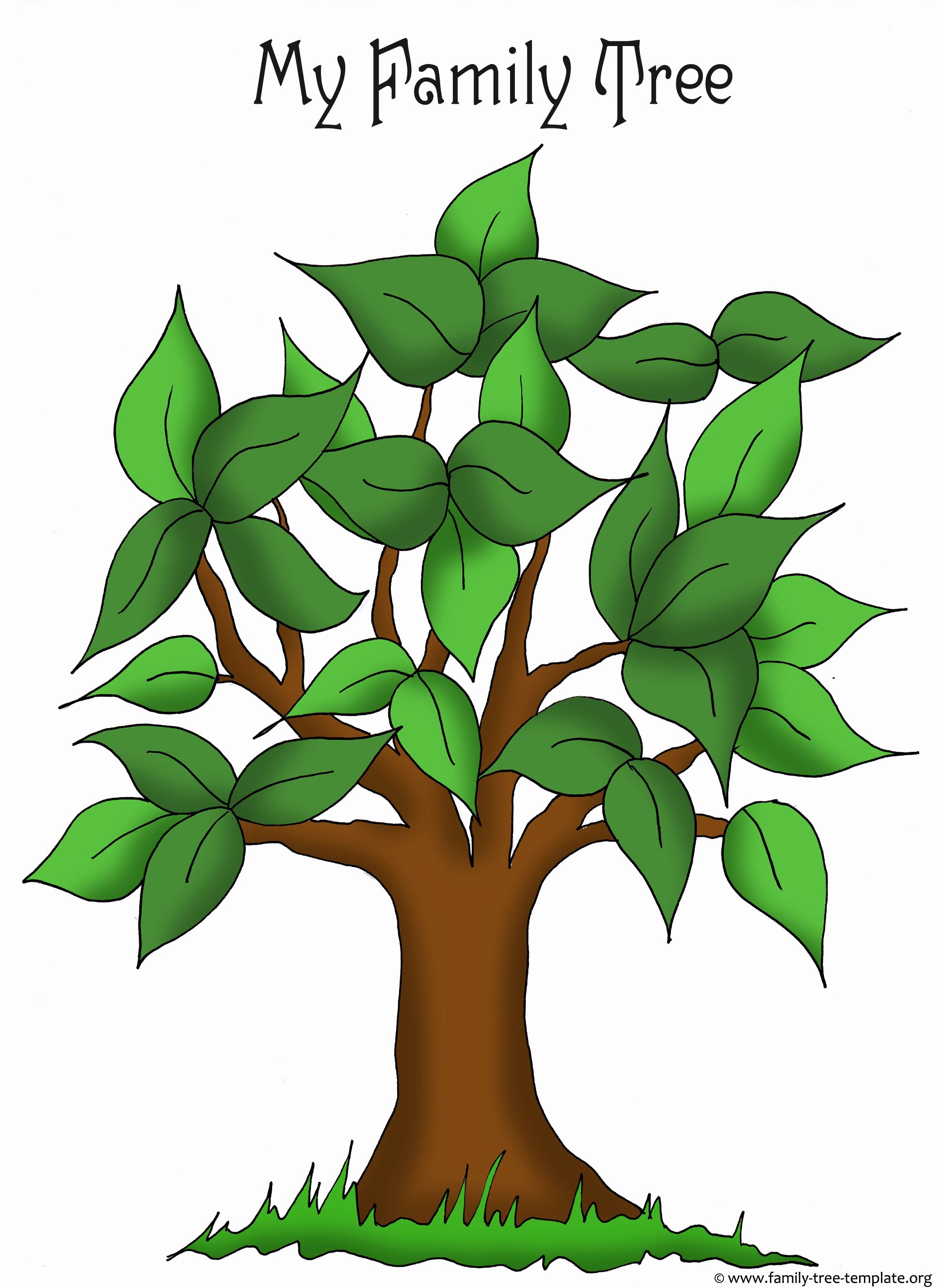 30 Blank Family Tree Poster Example Document Template