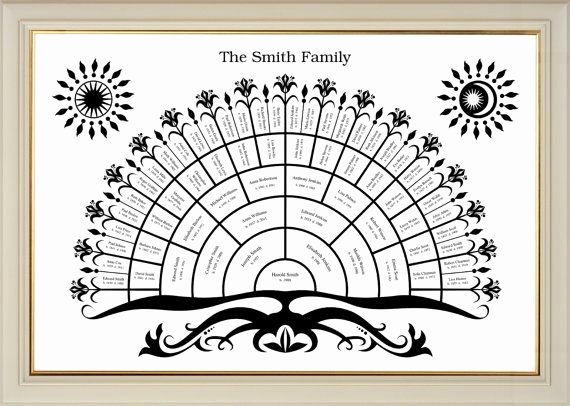 Blank Family Tree Poster New A Blank Family Tree Template for 6 Generations You A
