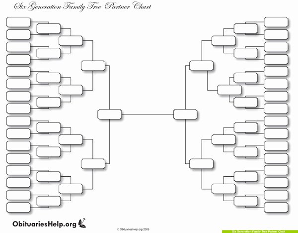 Blank Family Tree Template Elegant why A Family Tree Template is the Perfect Gift