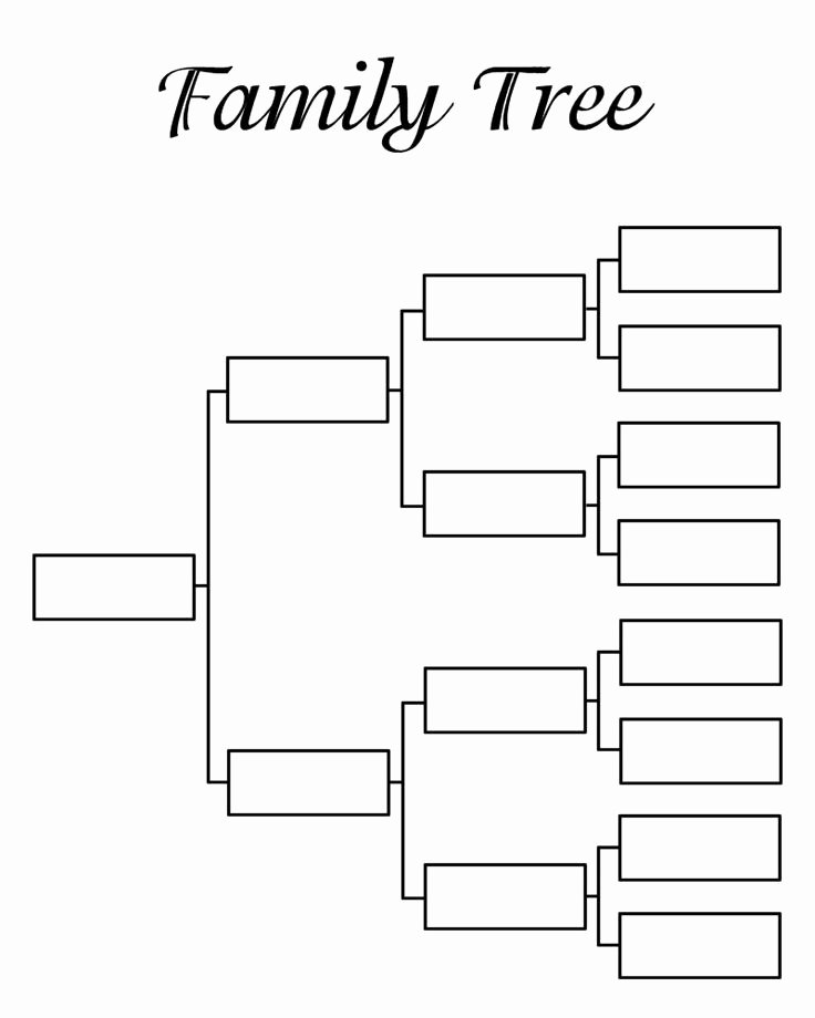 Blank Family Tree Template Fresh where Can You Find A Printable Family Tree Template