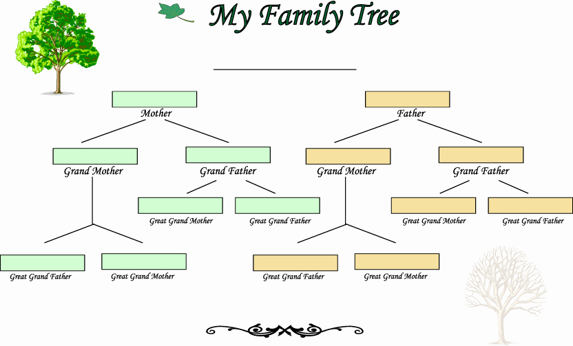 Blank Family Tree Template Inspirational Blank Family Tree Template