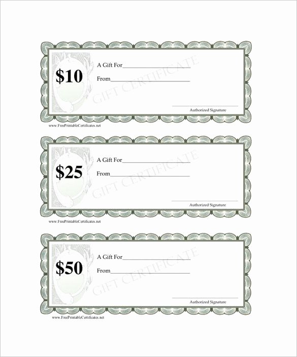 Blank Gift Certificate Template Free New Blank Gift Certificate Template – 13 Free Word Pdf