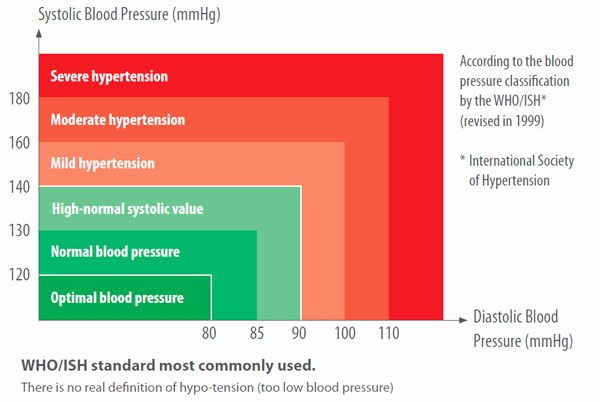 Blood Pressure Charts Inspirational How to Take Blood Pressure Manually A Step by Step Guide