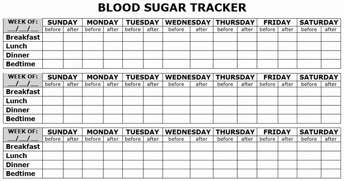 Blood Sugar Tracker Template Unique 5 Plus Free Printable Blood Sugar Log Templates