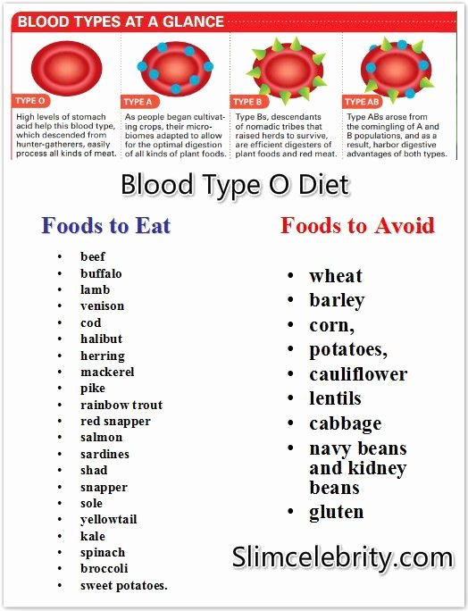 Blood Type A Diet Chart New Bloodtype T Blood Type O Diet Food List