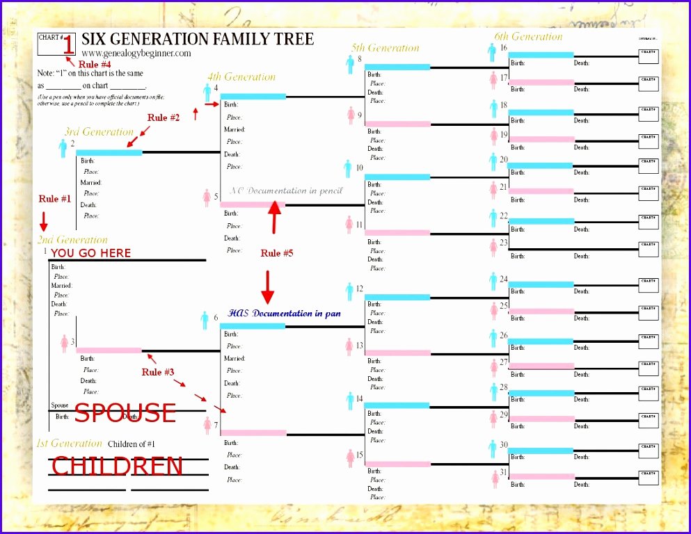 Building A Family Tree Template Beautiful 12 Excel Template Family Tree Exceltemplates