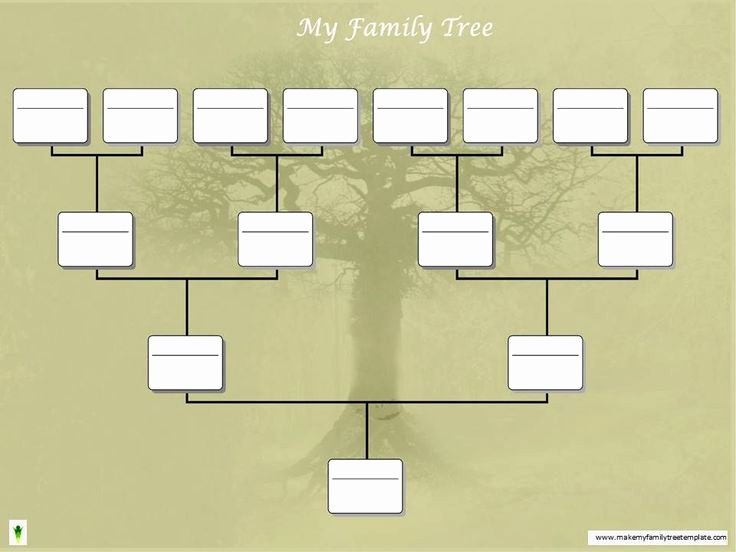 Building A Family Tree Template Inspirational 36 Best Our Descendant Genealogy Images On Pinterest