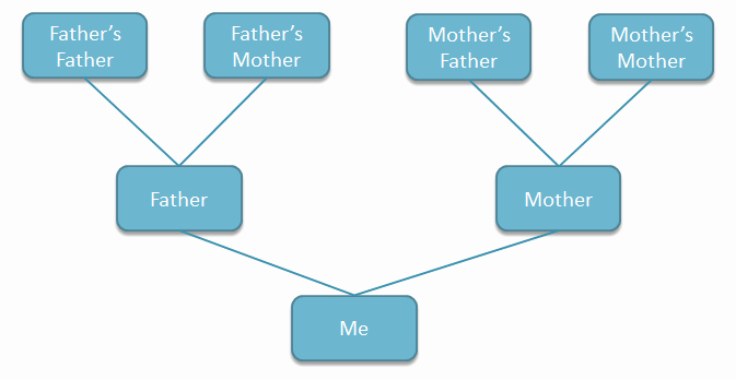Building A Family Tree Template Luxury How to Create A Family Tree In Powerpoint Using Shapes