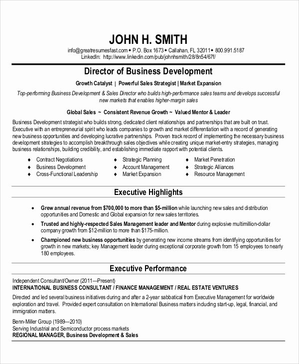 Business Development Manager Resume New 50 Business Resume Templates Pdf Doc
