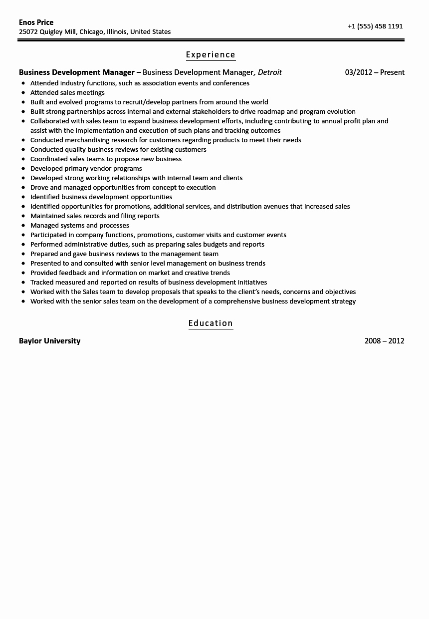 Business Development Manager Resume New Business Development Manager Resume Sample