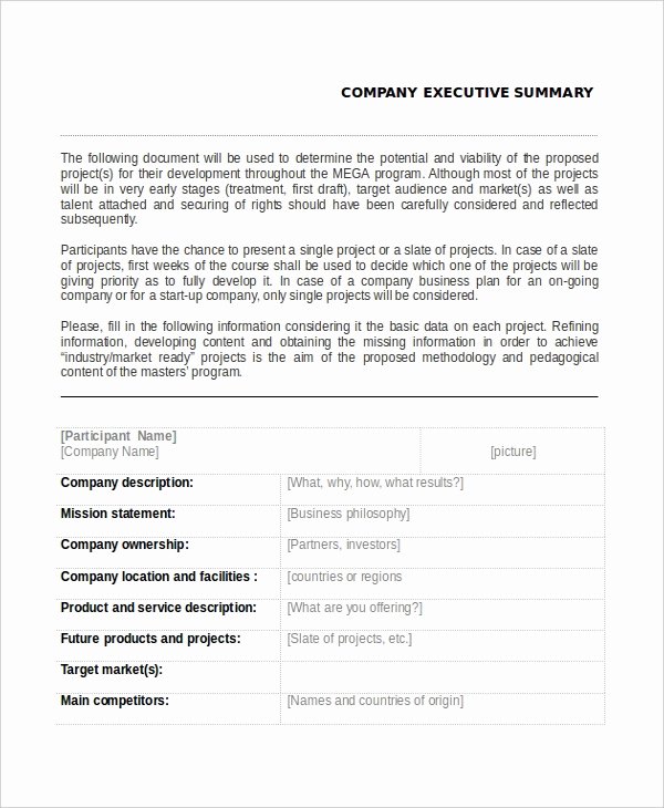 Business Executive Summary Example Lovely 9 Executive Summary Examples Word Pdf