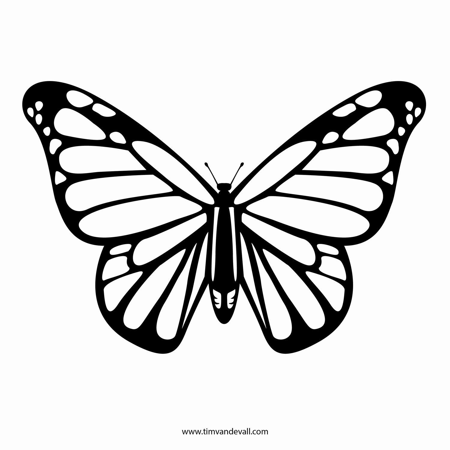 Butterfly Cut Out Template Inspirational Free butterfly Stencil