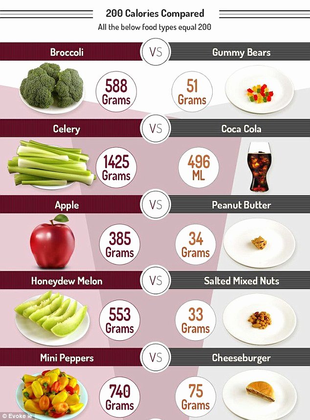 Calorie Charts for Food Fresh these Countries are Ranked by their Average Calorie Intake