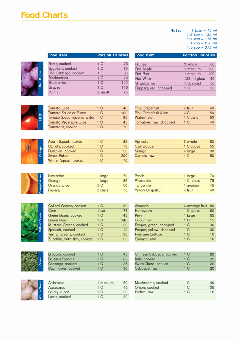 Calorie Charts for Food Unique Calorie Chart for Foods Pdf