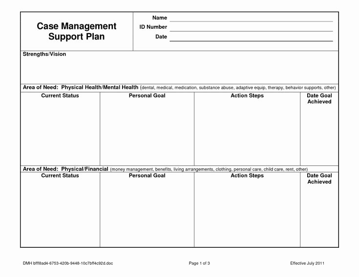 Case Note Example social Work Lovely Case Notes Template Case Management Service Plan