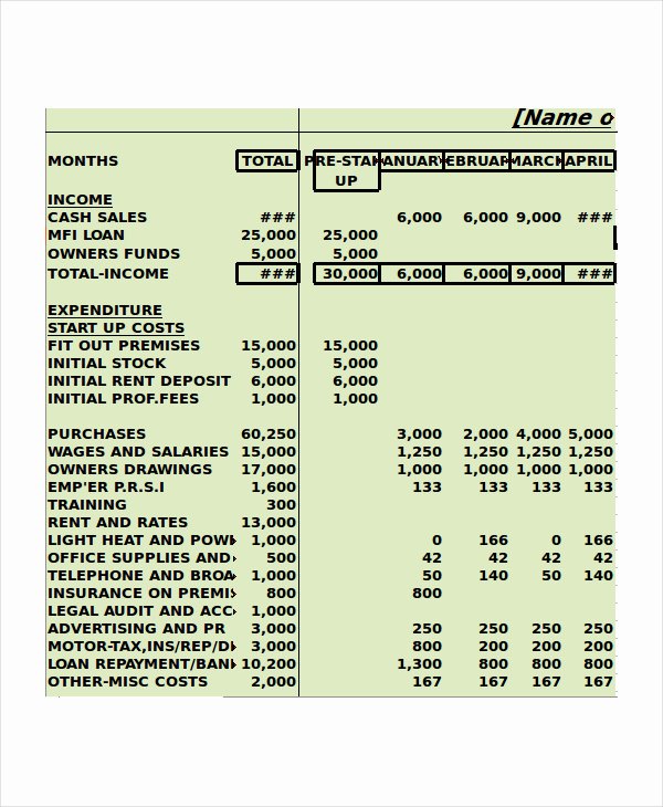 Cash Budget Template Excel Beautiful Cash Bud Template