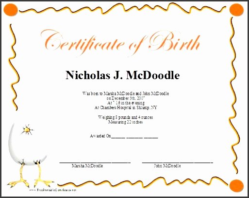 Certificate Of Live Birth Template Beautiful 4 Birth Certificate Template Just for Fun