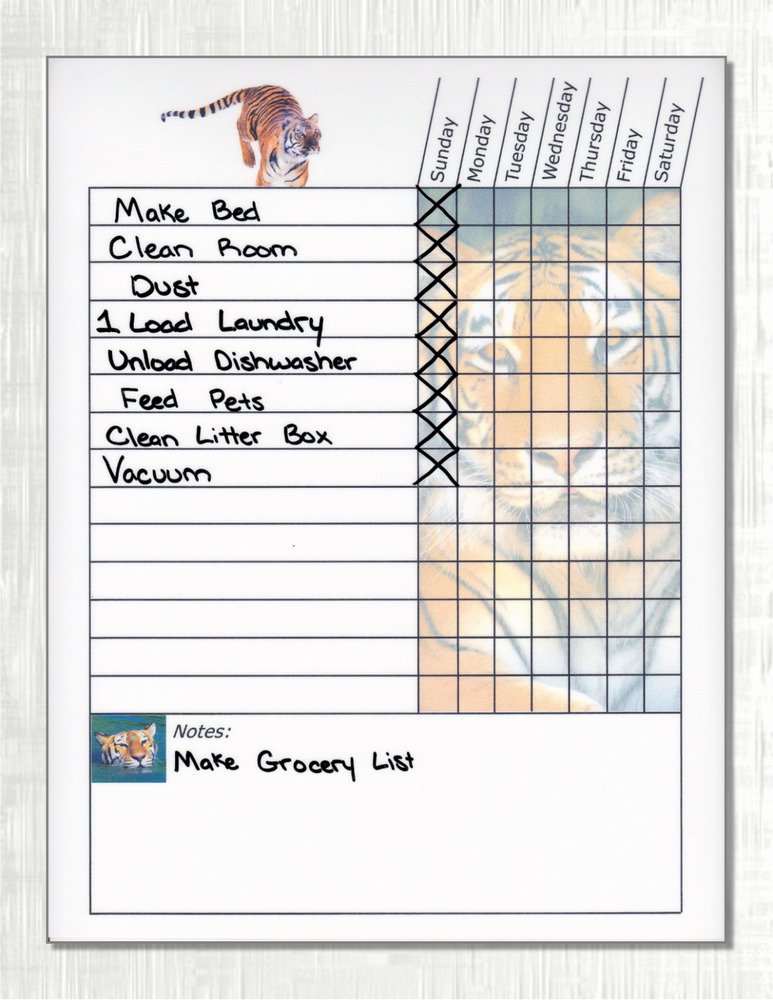 Chore Charts for Adults Fresh Teen Adult Weekly Chore Chart Works as Dry Erase Board