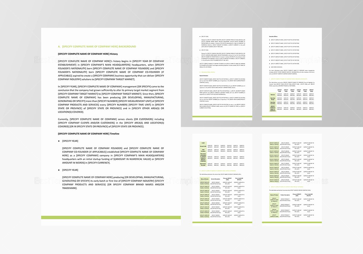 Company Fact Sheet Template Elegant Pany Fact Sheet Template In Word Google Docs Apple Pages
