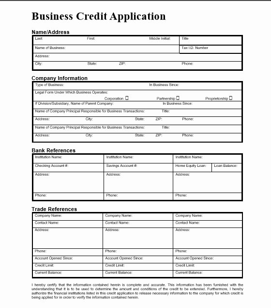 Credit Application form for Business Awesome 5 Professional Business Credit Application Template Word