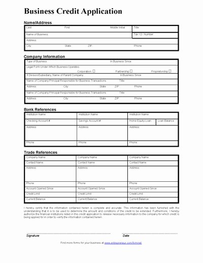 Credit Application form for Business Luxury Business Credit Application form