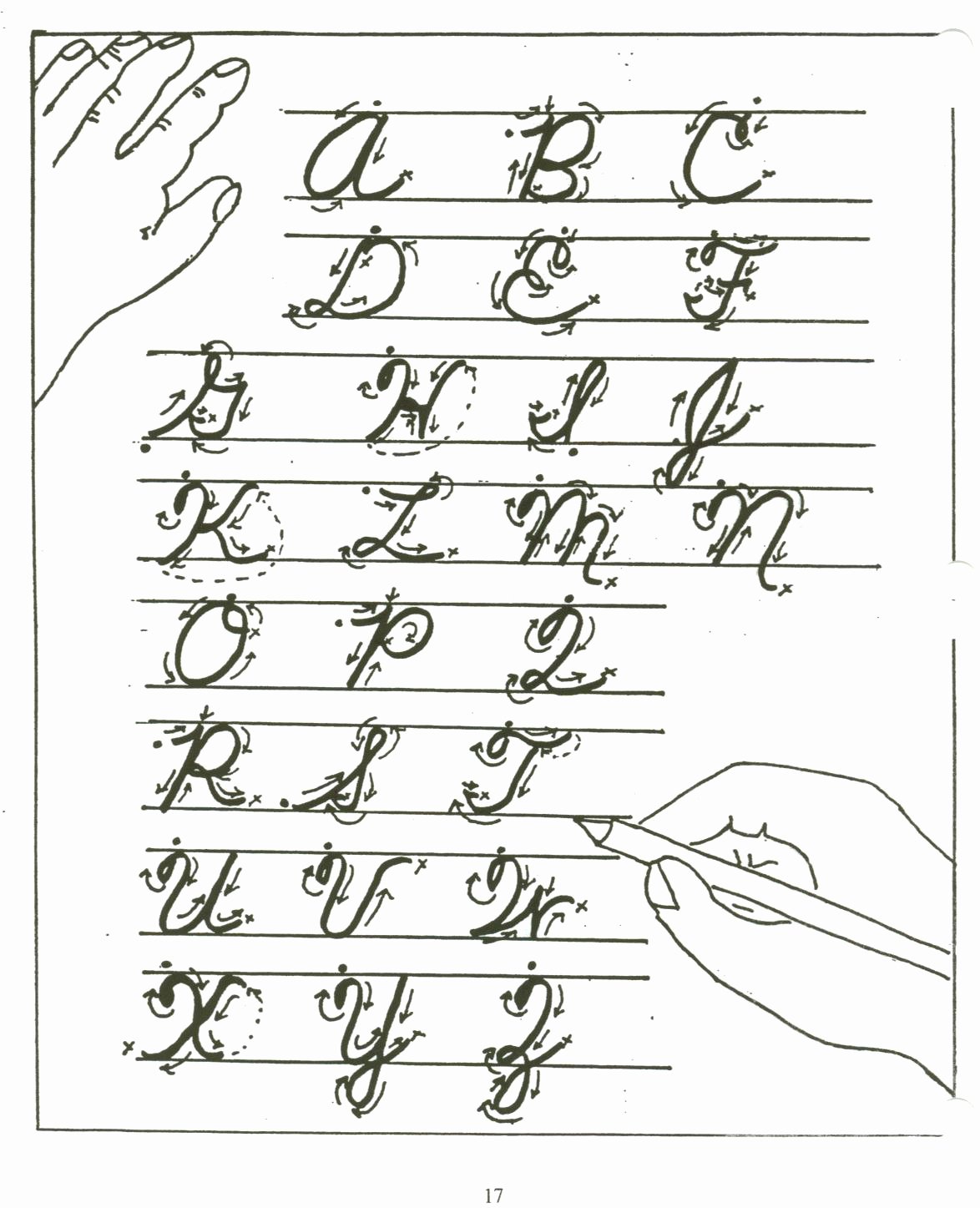 Cursive Handwriting Worksheets New Calligraphy Alphabet Cursive Calligraphy Alphabet