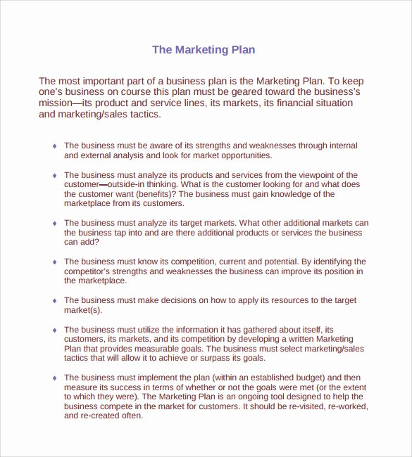 Customer Service Action Plan Examples New Sample Marketing Action Plan Template 14 Documents In Pdf