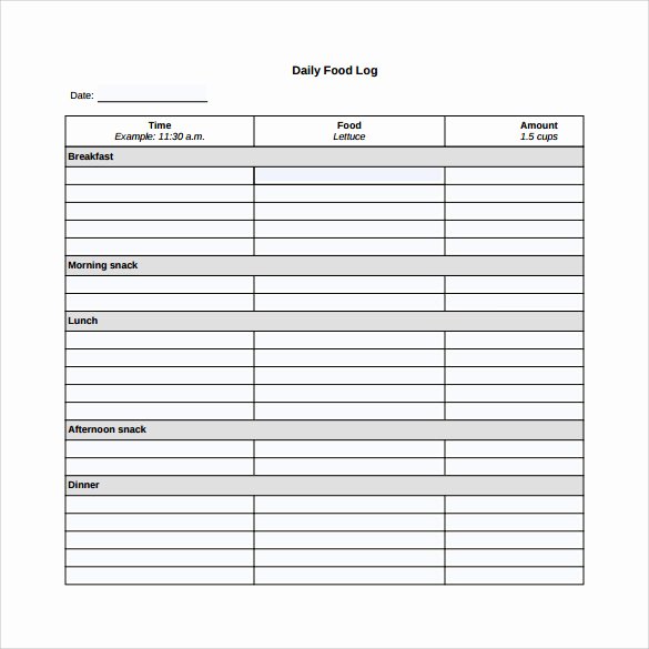 Daily Food Log Best Of Free 15 Sample Daily Log Templates In Pdf