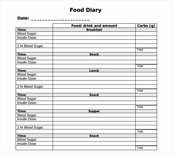 Diabetes Food Diary Printable Best Of Food Log Template 29 Free Word Excel Pdf Documents