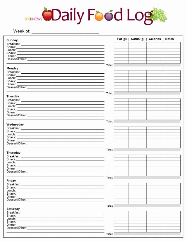 Diabetes Food Diary Printable Best Of Printable Charts and Logs to Help You Keep Track Of Chores