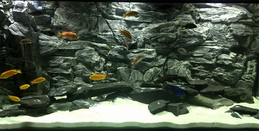 Diy Fish Tank Background Paper Awesome Fish Tank Background Grey Rock