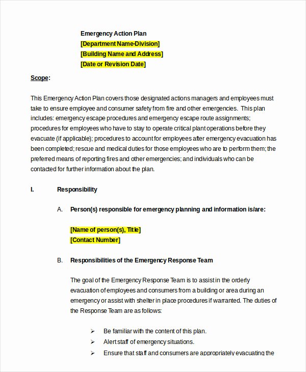 Emergency Action Plan Sample Inspirational Emergency Action Plan Template 10 Free Sample Example