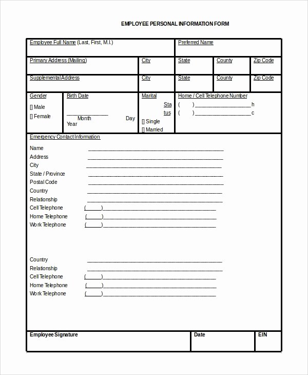 Employees Personal Information form Best Of Sample Employee Information form 10 Examples In Pdf Word