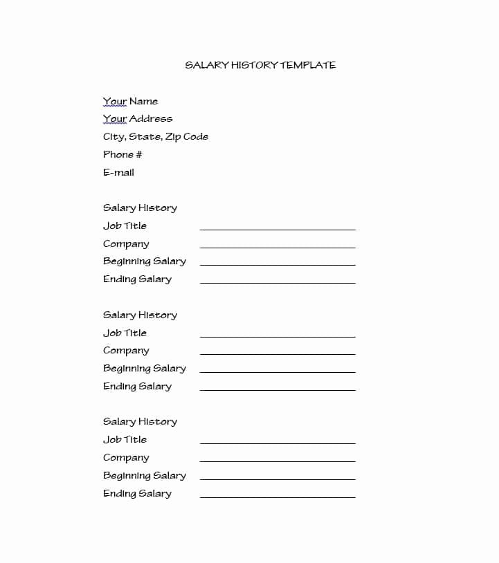 Employment History form Template Awesome 19 Great Salary History Templates &amp; Samples Template Lab