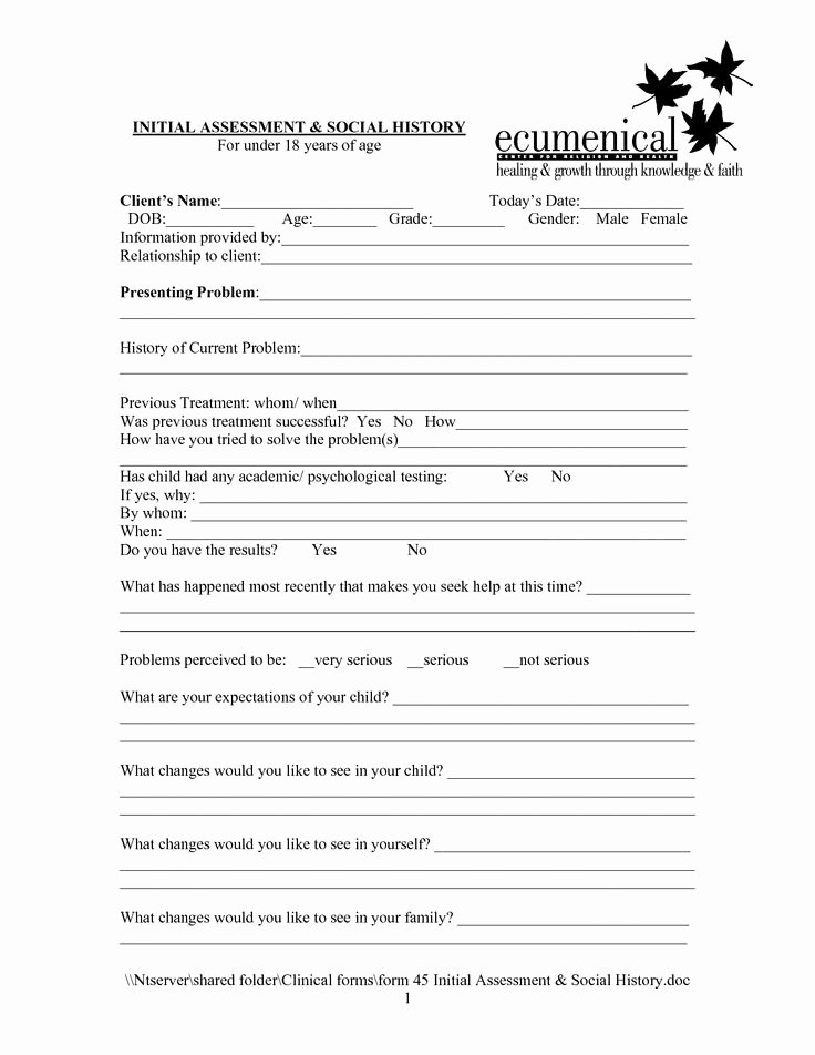 Employment History form Template Lovely social Work Intake form Template Google Search
