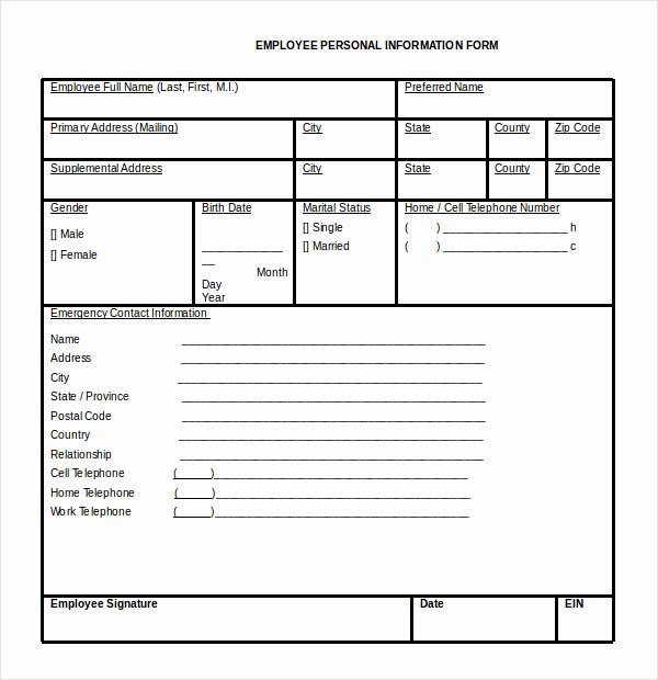 Employment Personal Information forms Awesome Free 11 Sample Employee Information forms