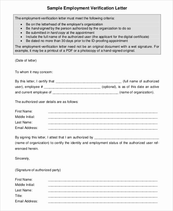 Employment Verification Letter form New Sample Employment Verification Letter 8 Examples In Pdf