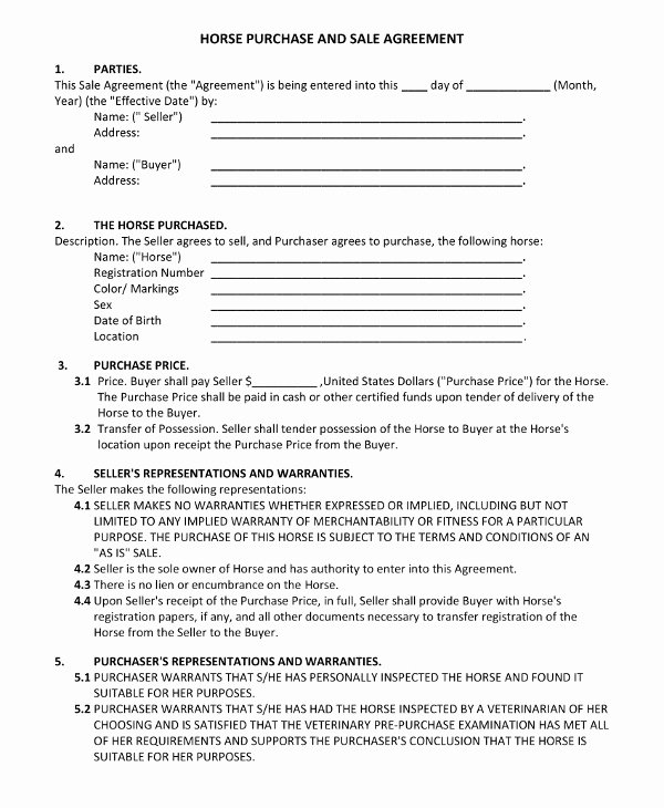 Example Of A Purchase Agreement Best Of 15 Purchase Agreement Contract Examples Pdf Word