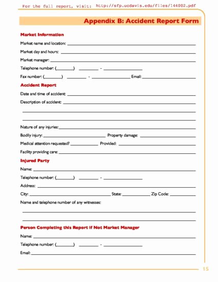Example Of Accident Report Beautiful Ca Accident Report form Example – Farmers Market Legal toolkit