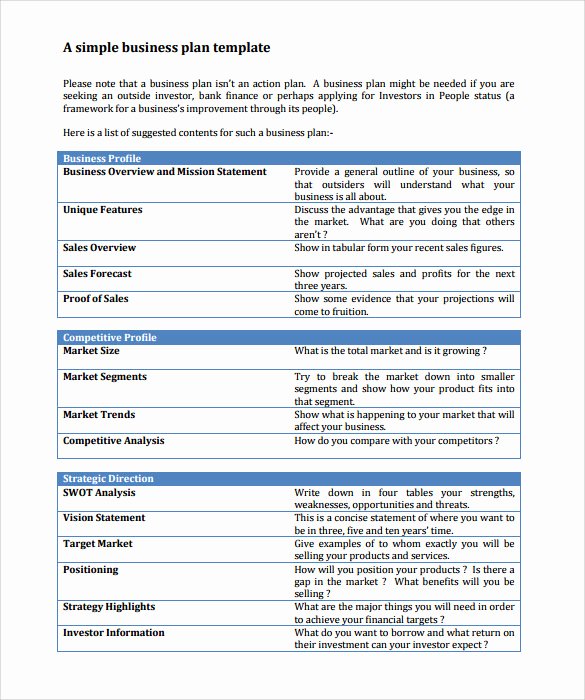 Example Of Action Plan Best Of Sample Business Action Plan – 13 Examples In Word Pdf format