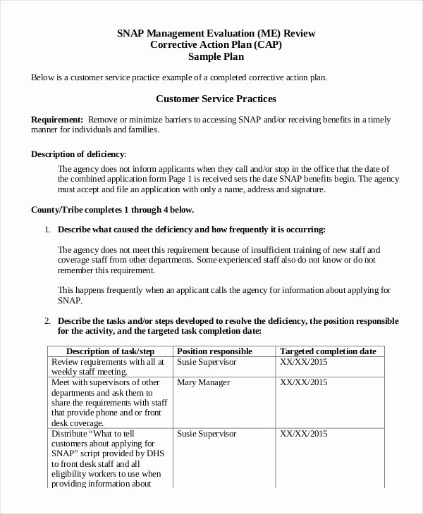 Example Of Action Plan Unique Action Plan Template 37 Free Pdf Word format