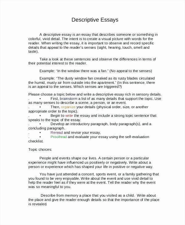 Example Of Descriptive Essay Lovely Place Essay Examples Example Of Descriptive Essay About A