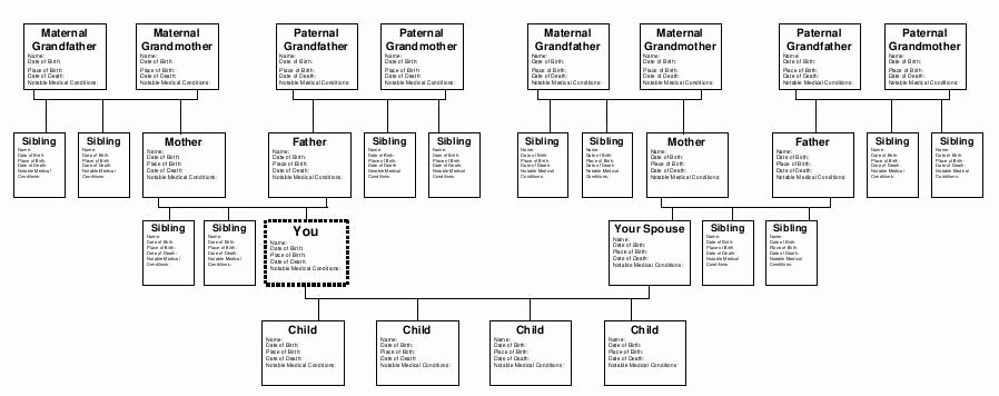 Example Of Family Tree Chart Lovely Legacy Project Parts
