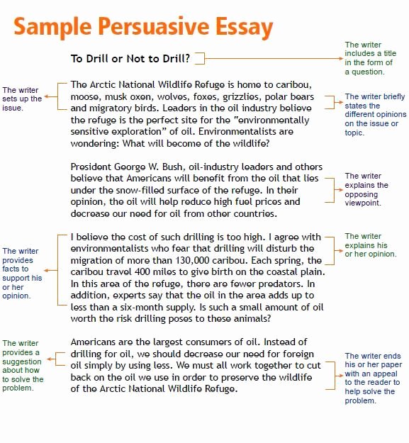 Example Of Persuasive Essay Lovely Opinion Article Examples for Kids