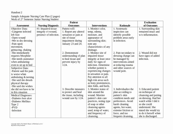 Care Plan Format Examples