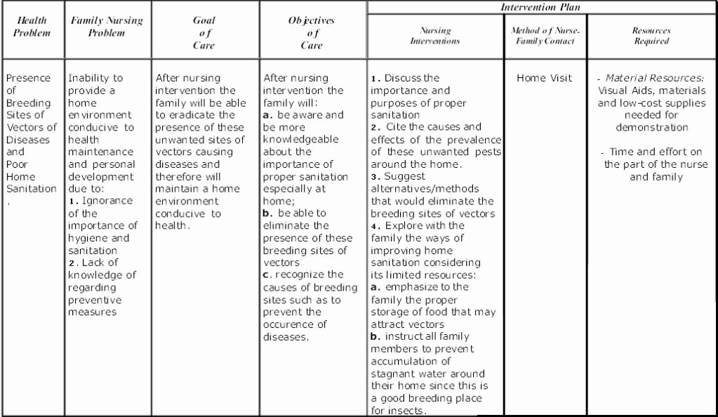 30 Examples Of Nursing Care Plans Example Document Template