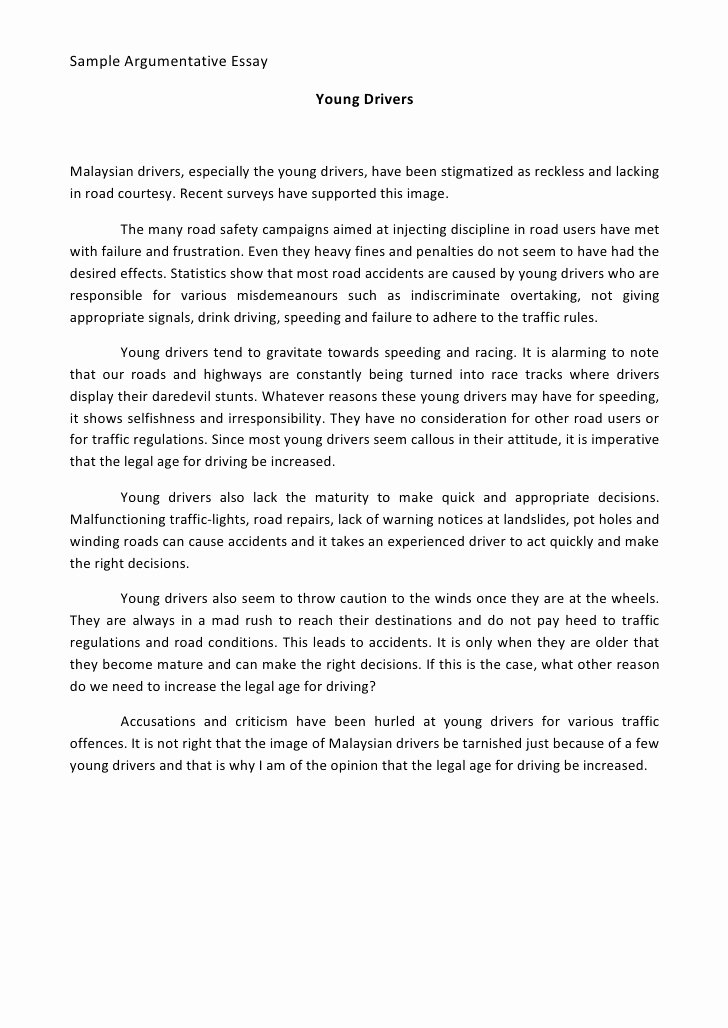 Examples Of Personal Narratives Awesome Narrative Essay Example Alisen Berde