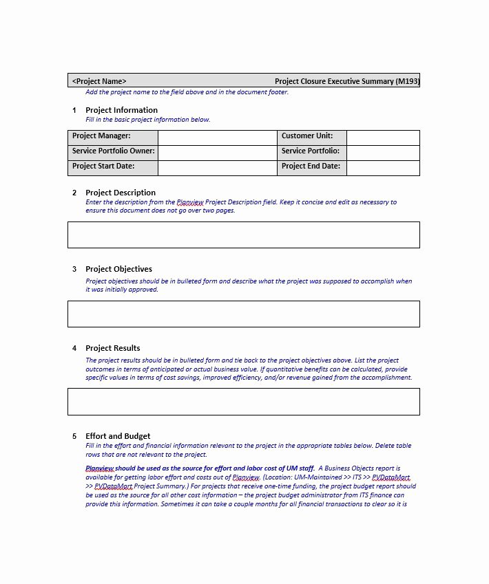 Executive Summary Outline Template Best Of 30 Perfect Executive Summary Examples &amp; Templates