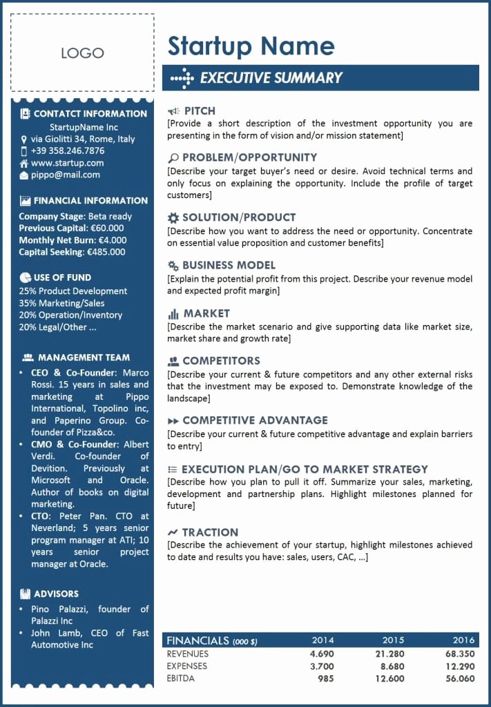 Executive Summary Outline Template Best Of 5 Free Executive Summary Templates Excel Pdf formats