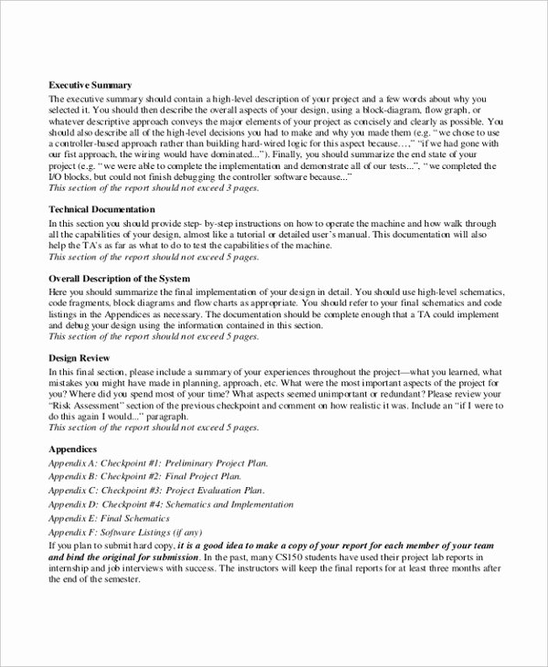 Executive Summary Outline Template Unique 8 Project Summary Templates Free Word Pdf Document